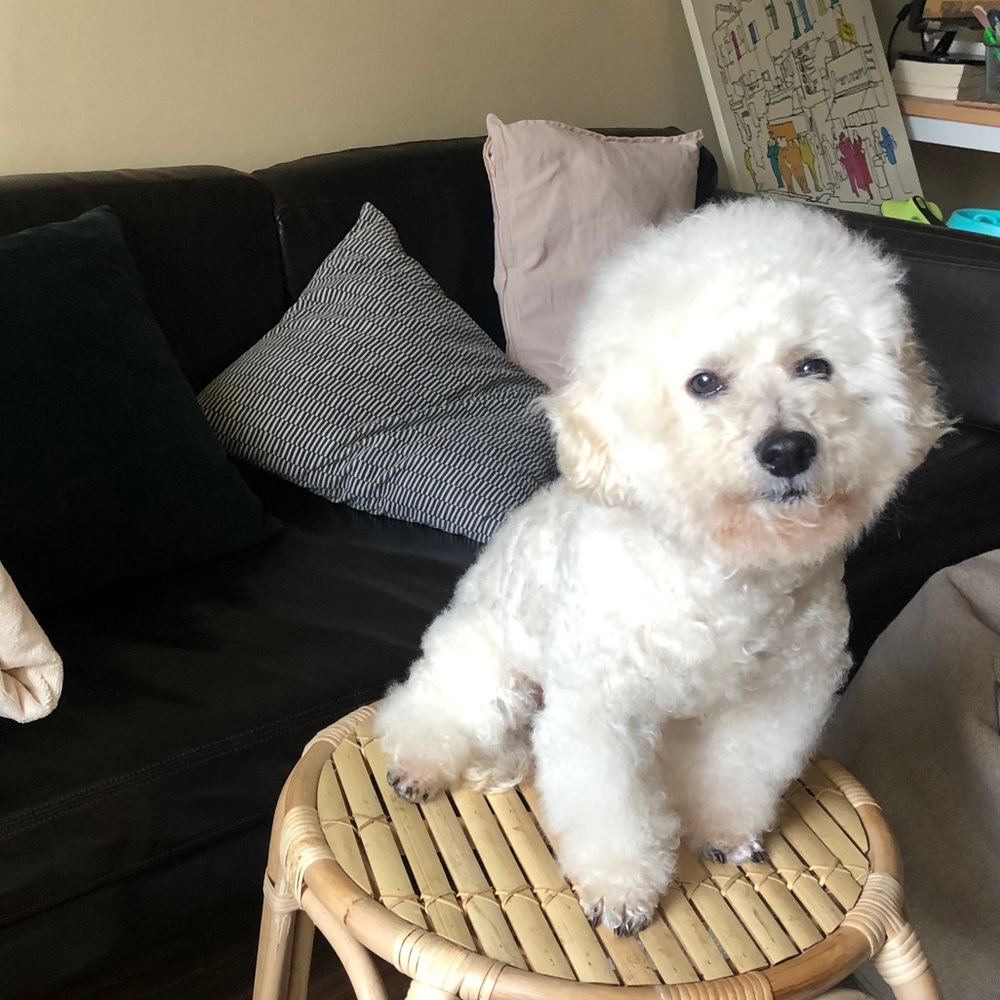 Meet your Posher, Anh
